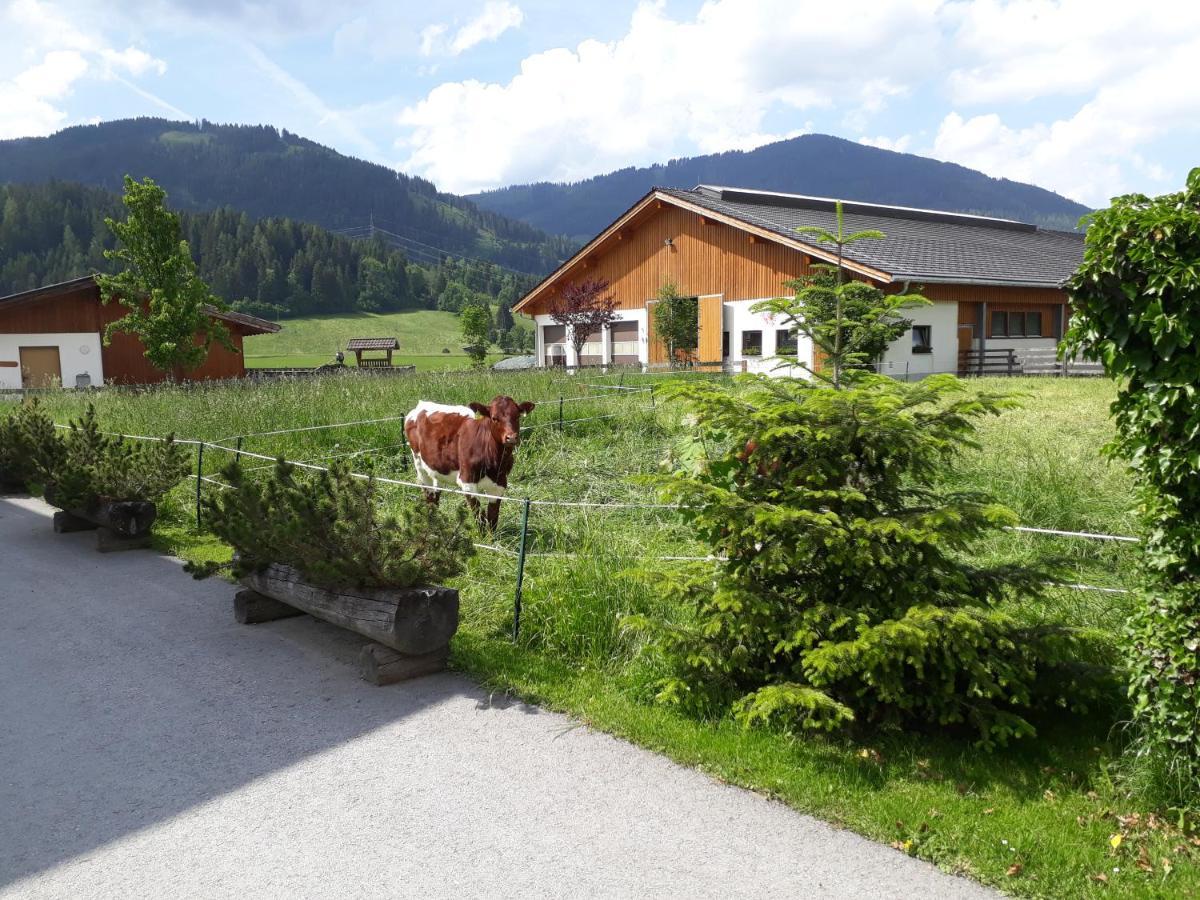 Fingerhof *