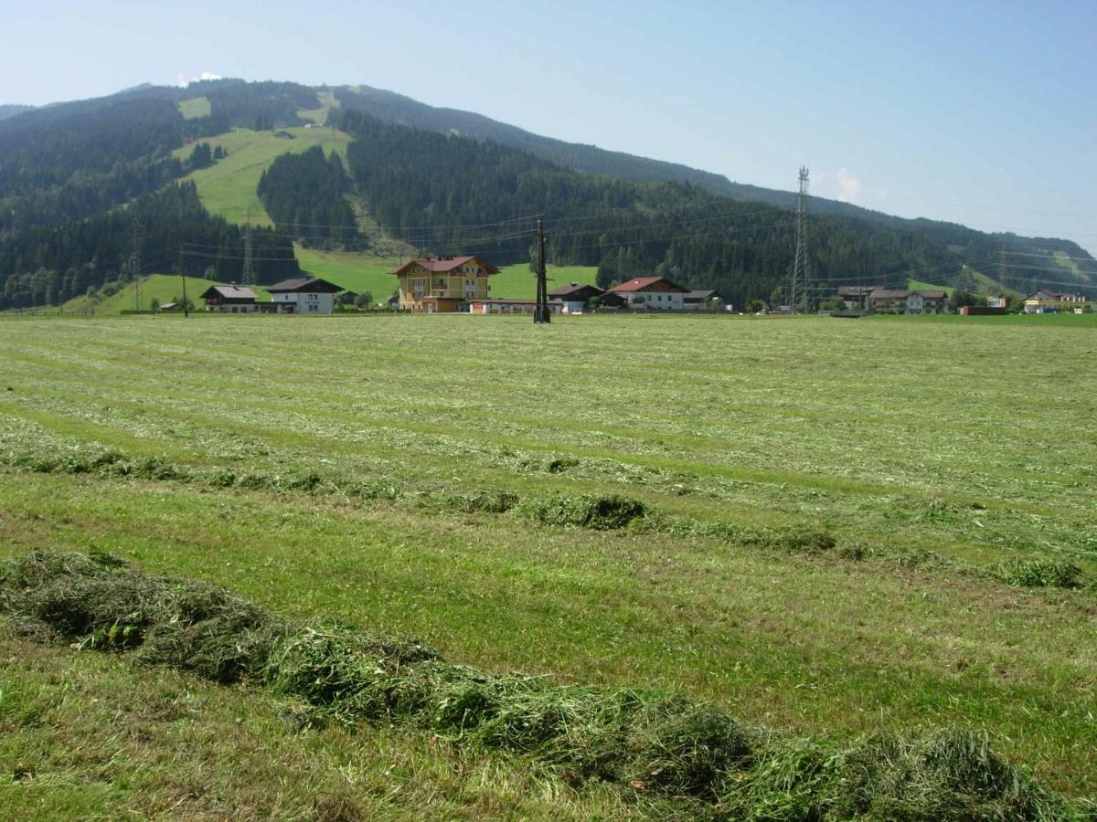 Apartment Fingerhof Flachau