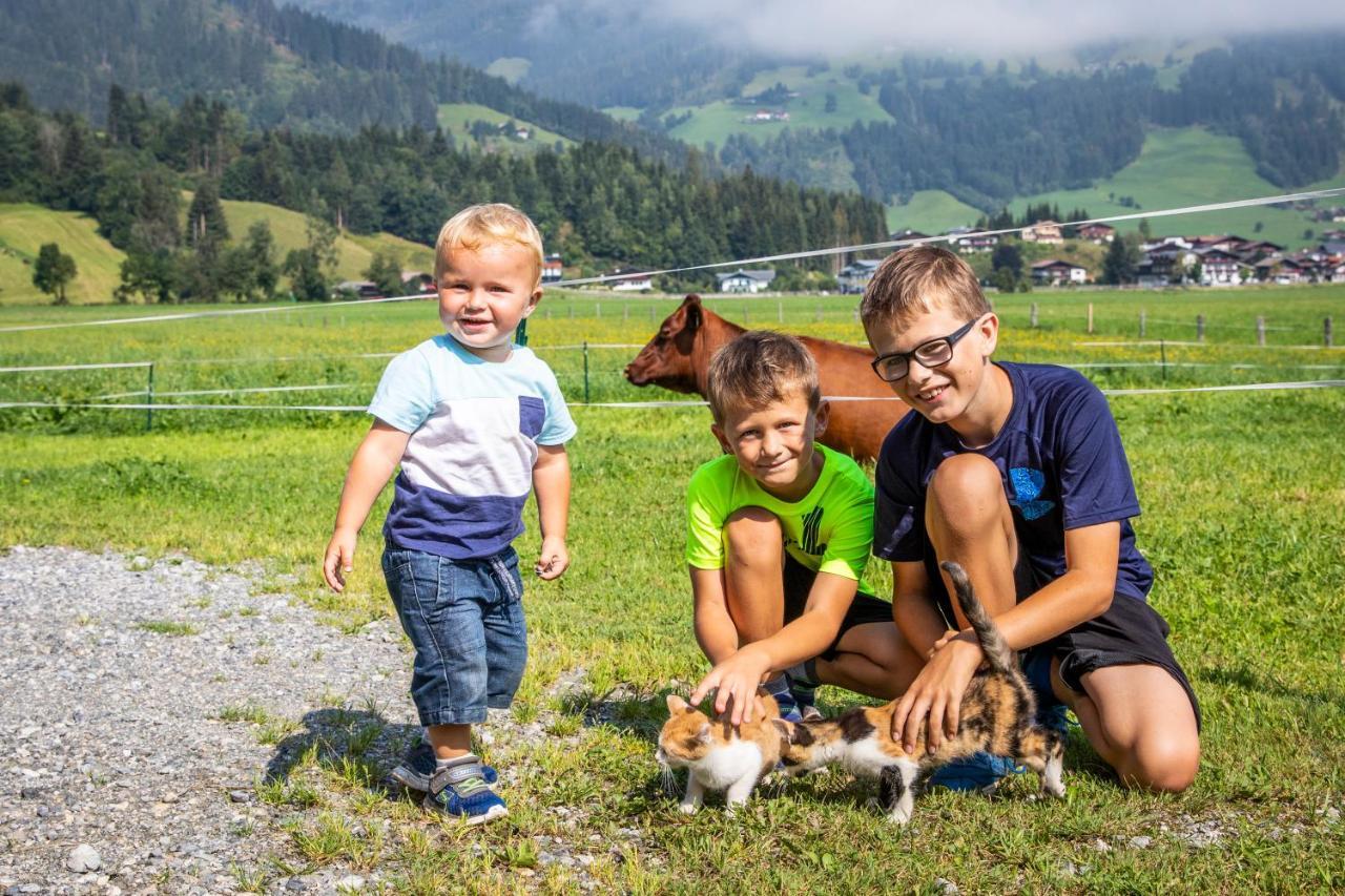 Apartment Fingerhof Flachau