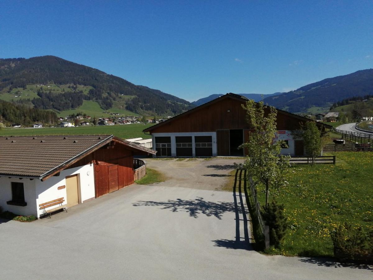 Apartment Fingerhof *