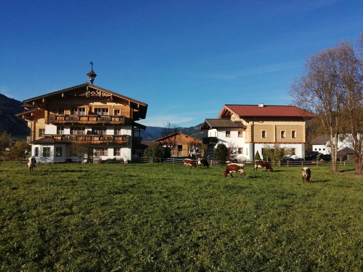 Apartment Fingerhof *